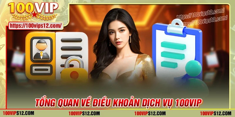 Tổng quan về điều khoản dịch vụ 100VIP
