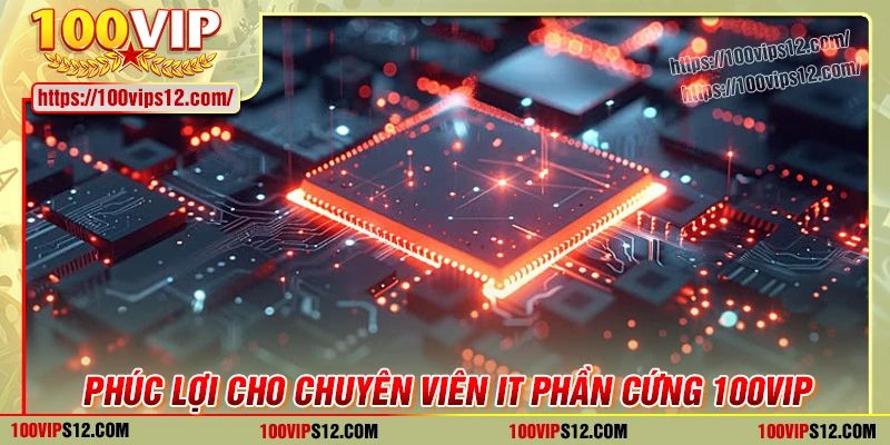 Phúc lợi cho chuyên viên IT phần cứng tại 100VIP